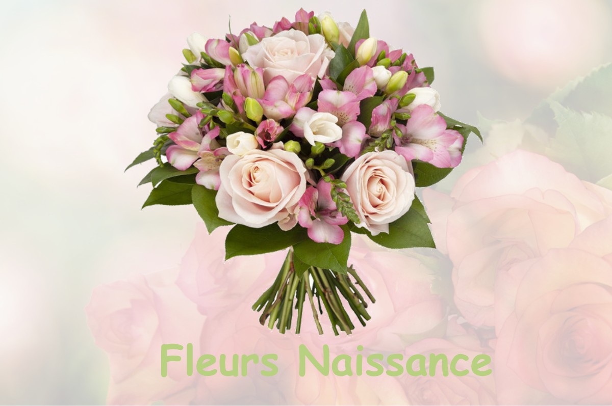 fleurs naissance FRANQUEVILLE-SAINT-PIERRE