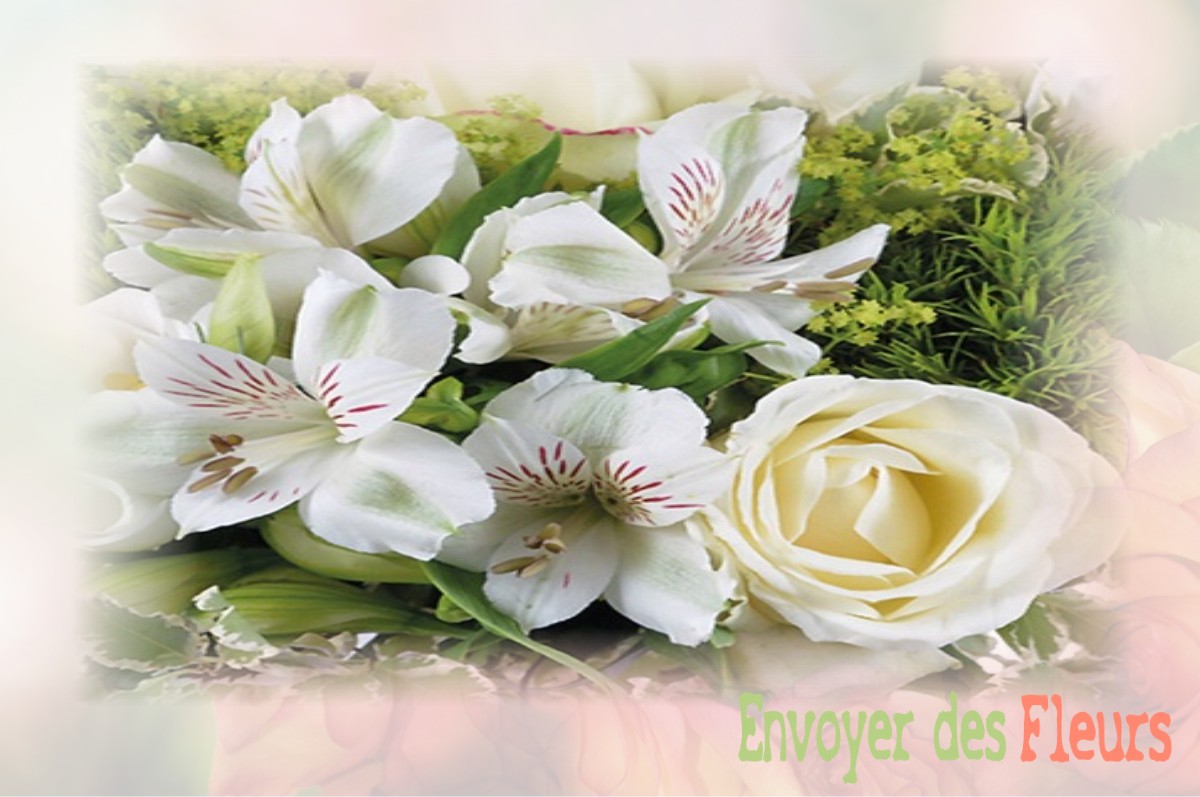 envoyer des fleurs à à FRANQUEVILLE-SAINT-PIERRE